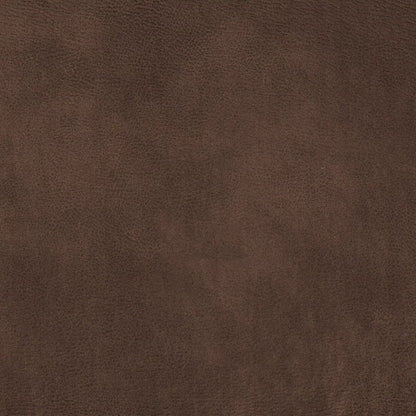 Eastwood Chocolate by Warwick Fabrics