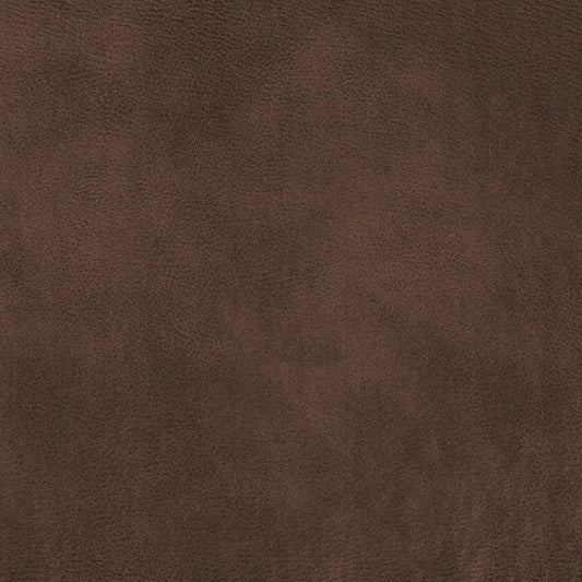 Eastwood Chocolate by Warwick Fabrics