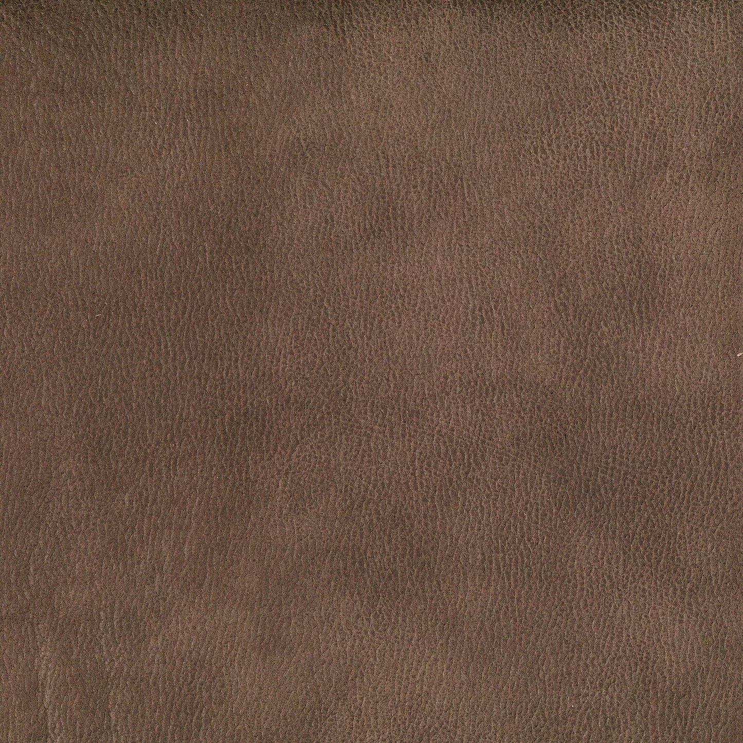 Eastwood Donkey by Warwick Fabrics