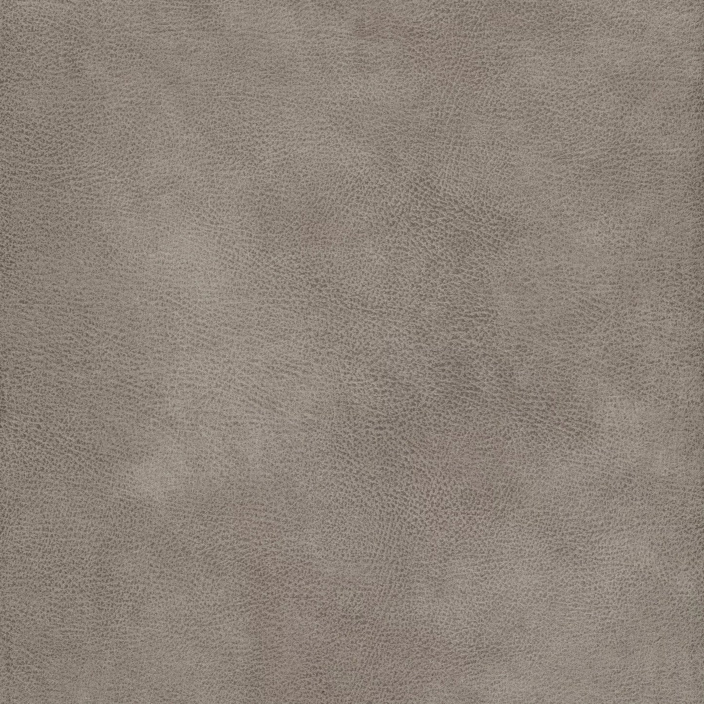 Eastwood Dove by Warwick Fabrics