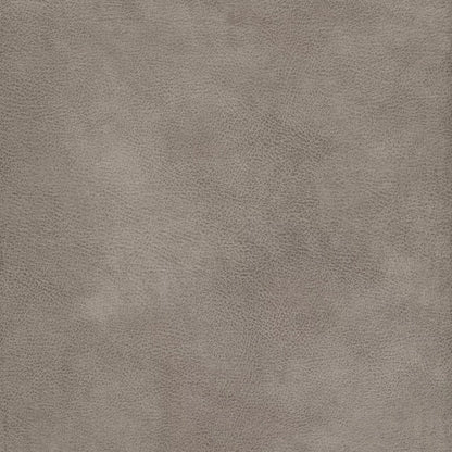 Eastwood Dove by Warwick Fabrics