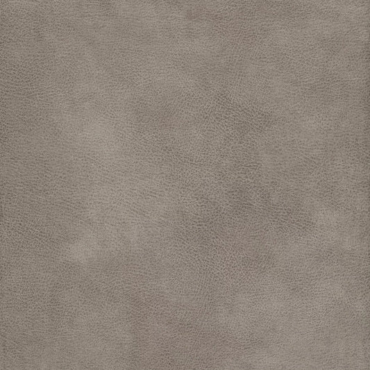 Eastwood Dove by Warwick Fabrics