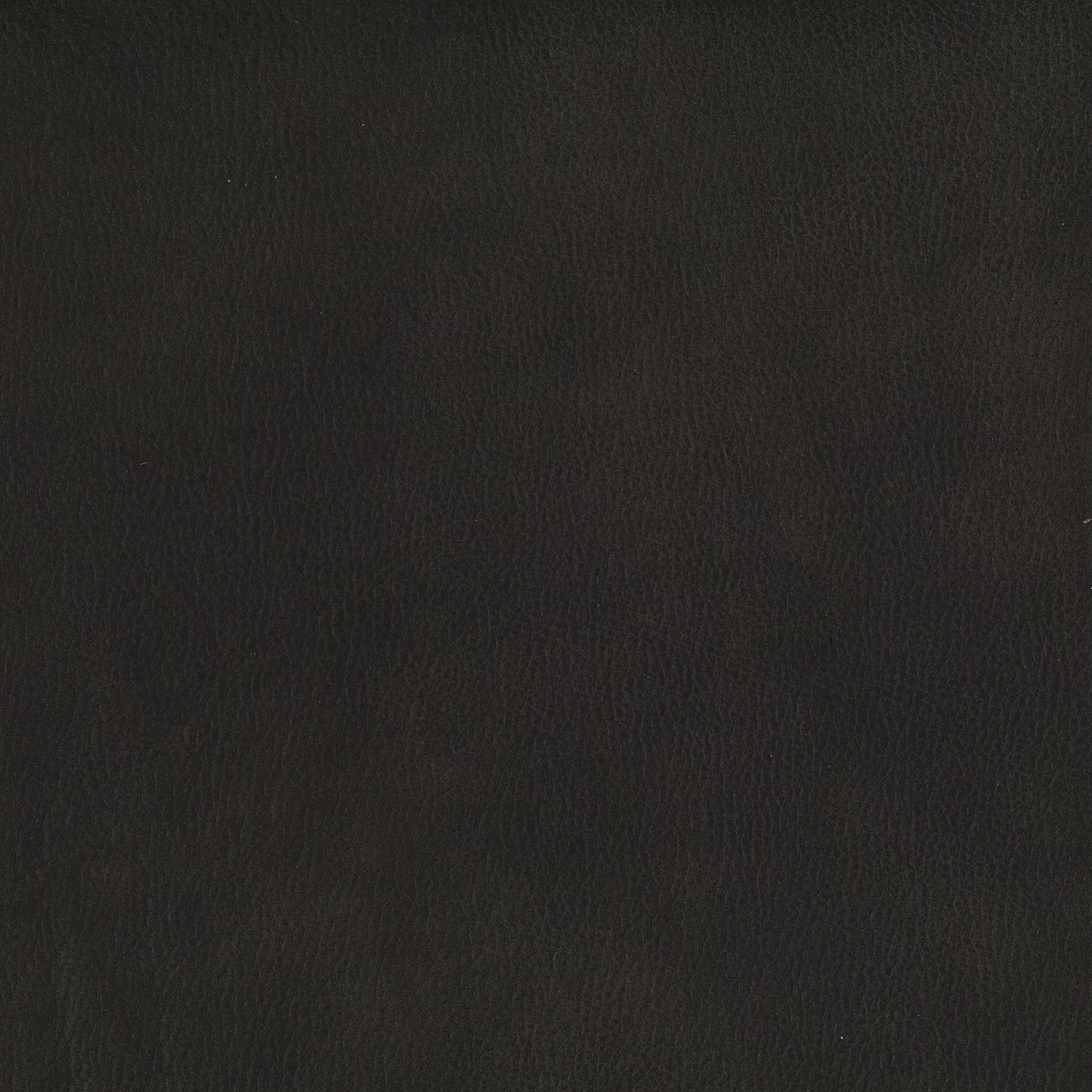 Eastwood Ebony by Warwick Fabrics