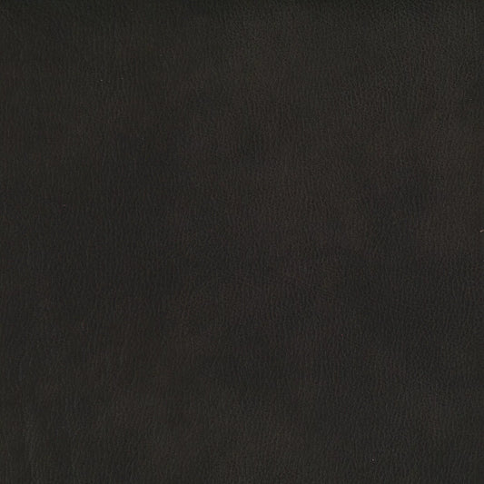 Eastwood Ebony by Warwick Fabrics