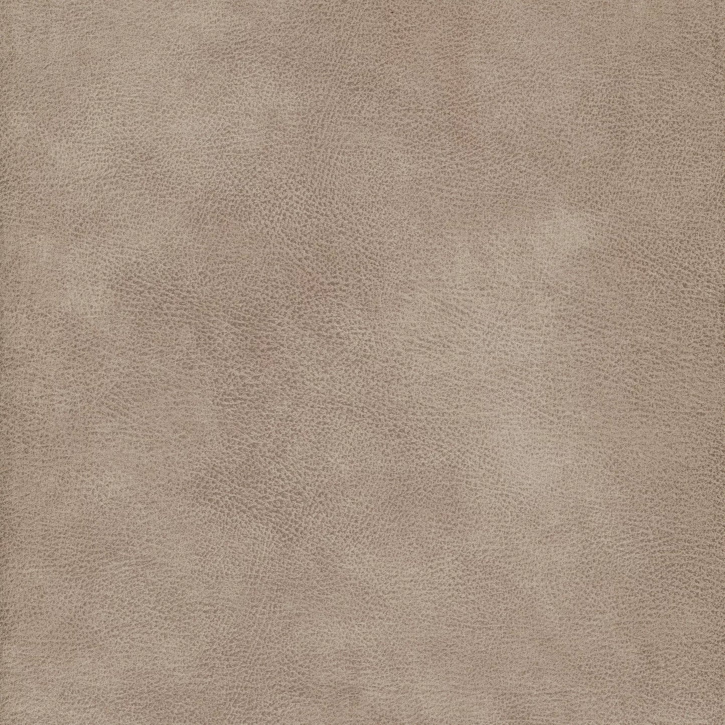 Eastwood Pumice by Warwick Fabrics