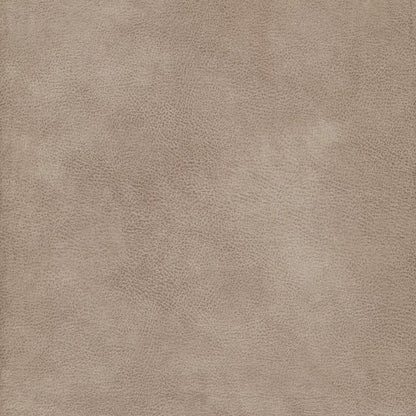 Eastwood Pumice by Warwick Fabrics