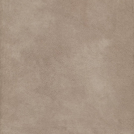 Eastwood Pumice by Warwick Fabrics