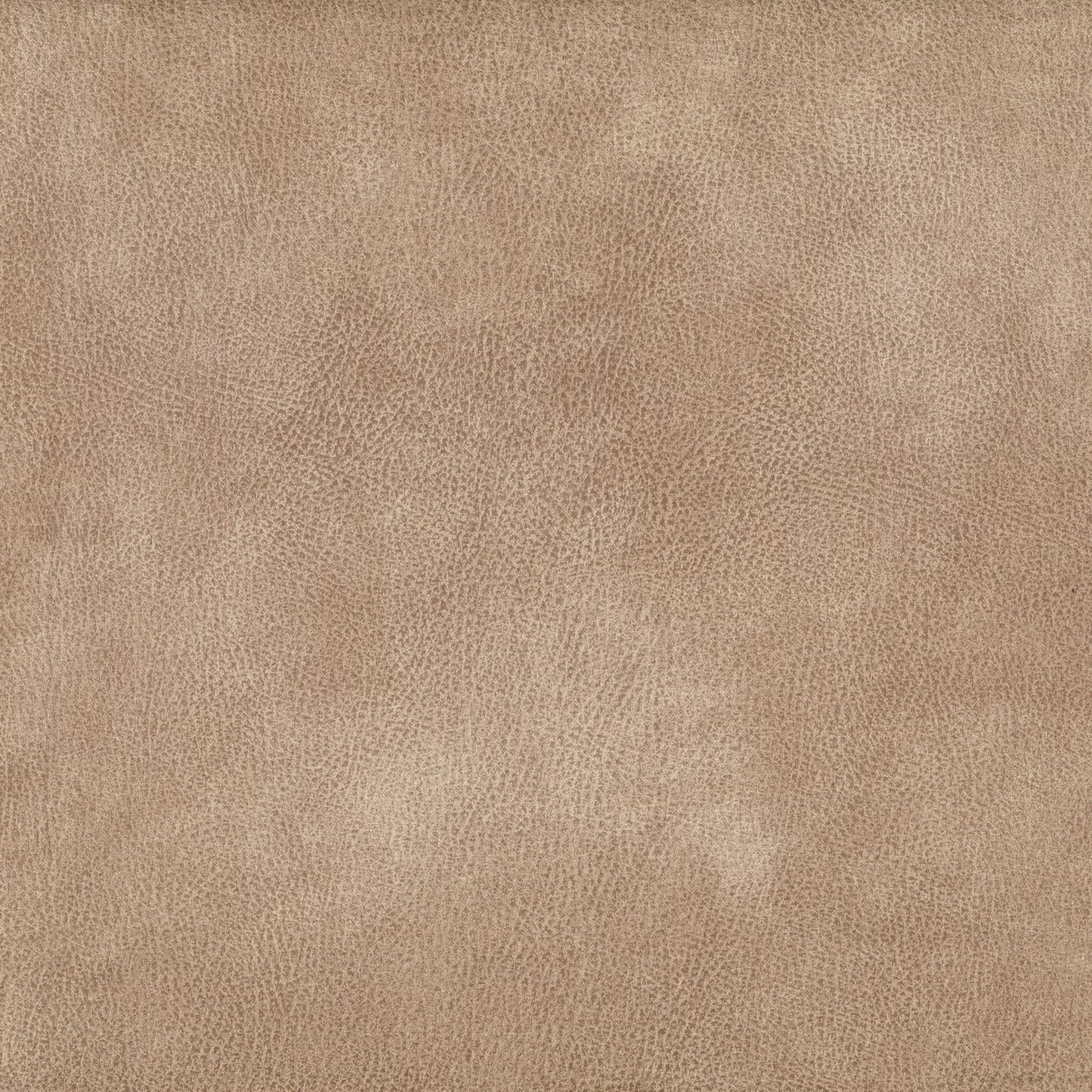 Eastwood Taupe by Warwick Fabrics