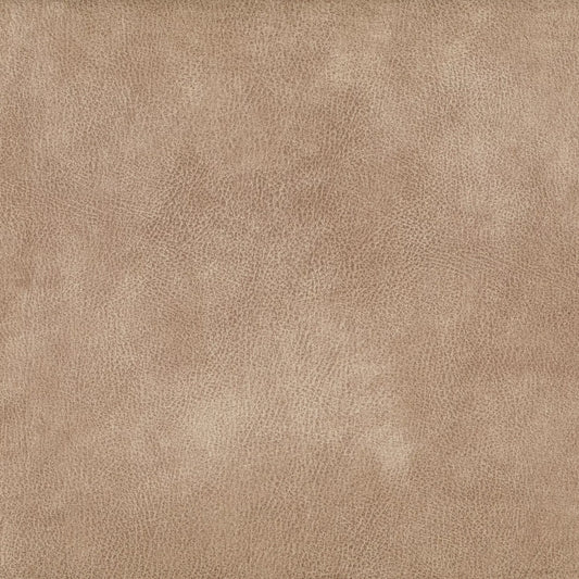 Eastwood Taupe by Warwick Fabrics