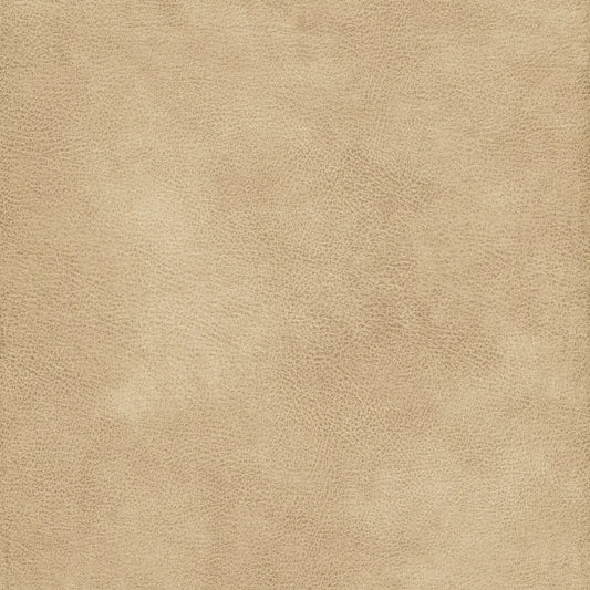 Eastwood Sand by Warwick Fabrics