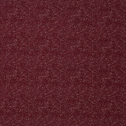 Frasier by Warwick Fabrics