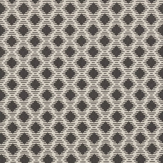 Hades Coal by Warwick Fabrics