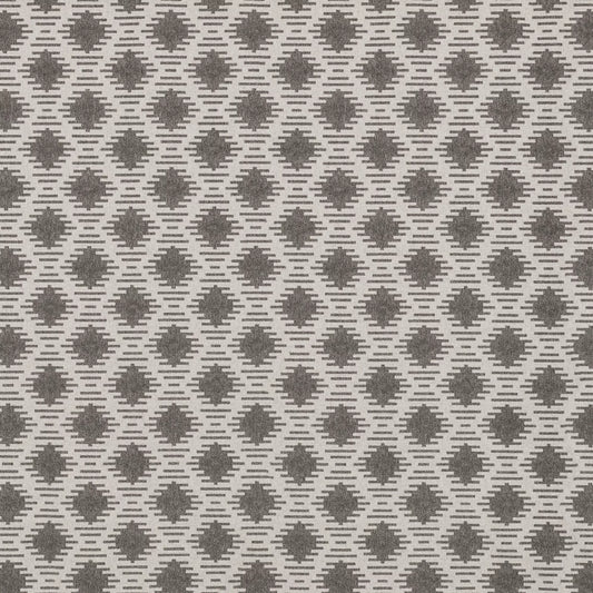 Hades Grey by Warwick Fabrics