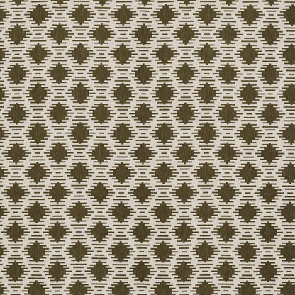 Hades Olive by Warwick Fabrics
