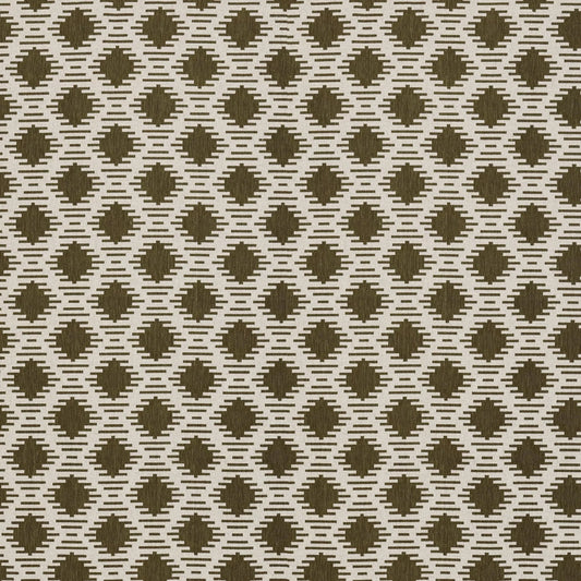 Hades Olive by Warwick Fabrics