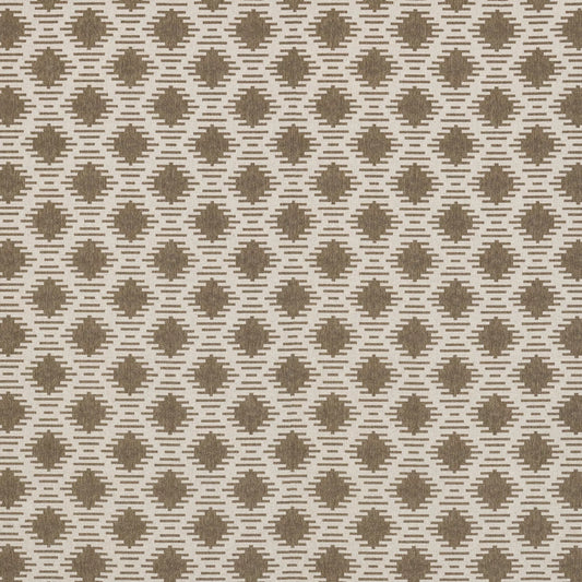 Hades Taupe by Warwick Fabrics