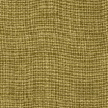 HAVEN Wasabi by Warwick fabrics