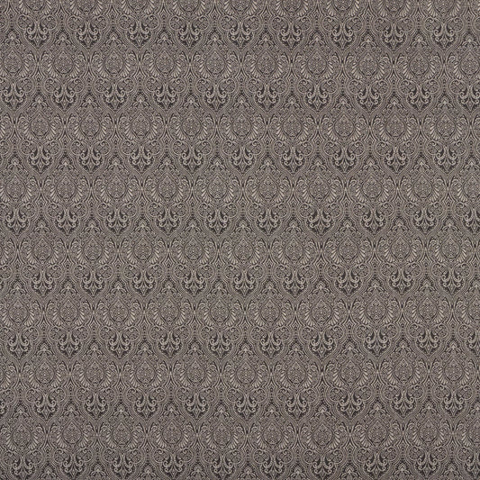 Islip Charcoal by Warwick Fabrics