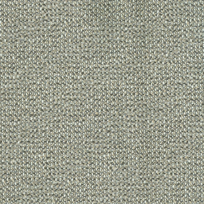 Kuata Driftwood by Warwick Fabrics