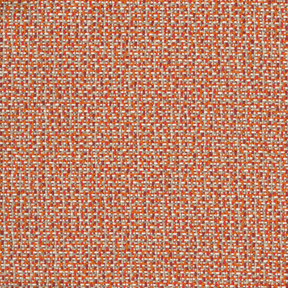 Kuata Lobster by Warwick Fabrics