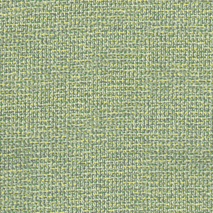 Kuata Palm by Warwick Fabrics