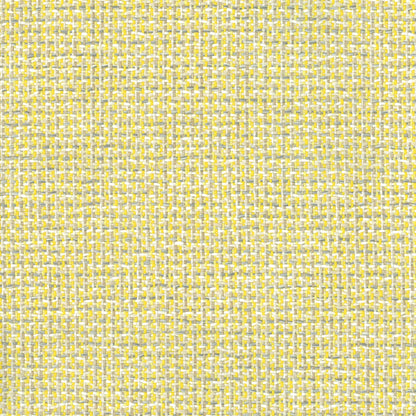 Kuata Sunshine by Warwick Fabrics