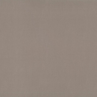 Lustrell Charisma by Warwick Fabrics