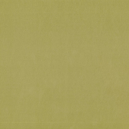 Lustrell Charisma by Warwick Fabrics