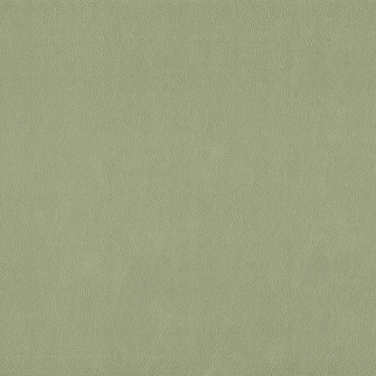 Lustrell Charisma by Warwick Fabrics