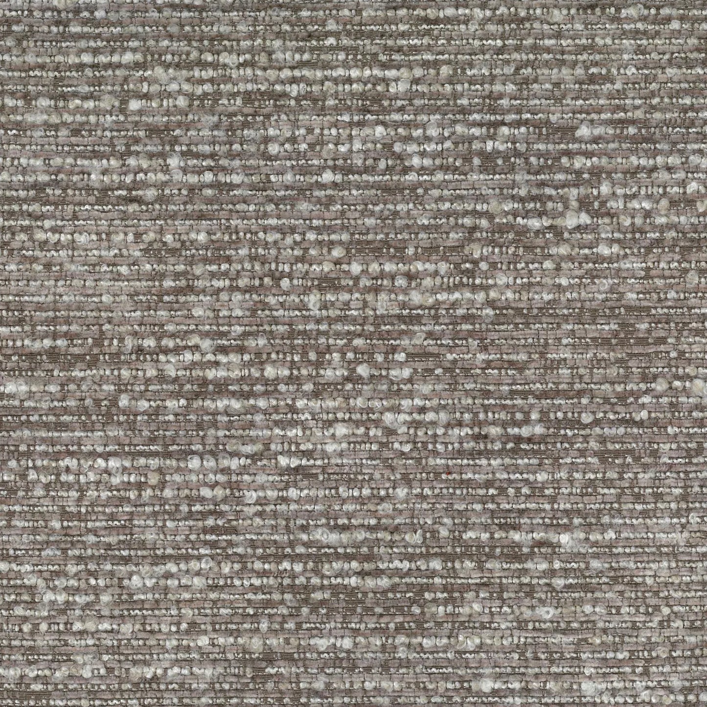 Leoni Latte by Warwick Fabrics