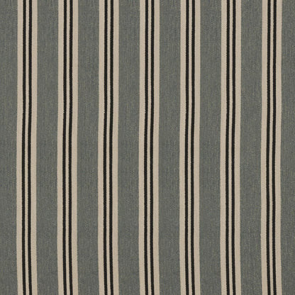 Lucia Denim by Warwick Fabrics