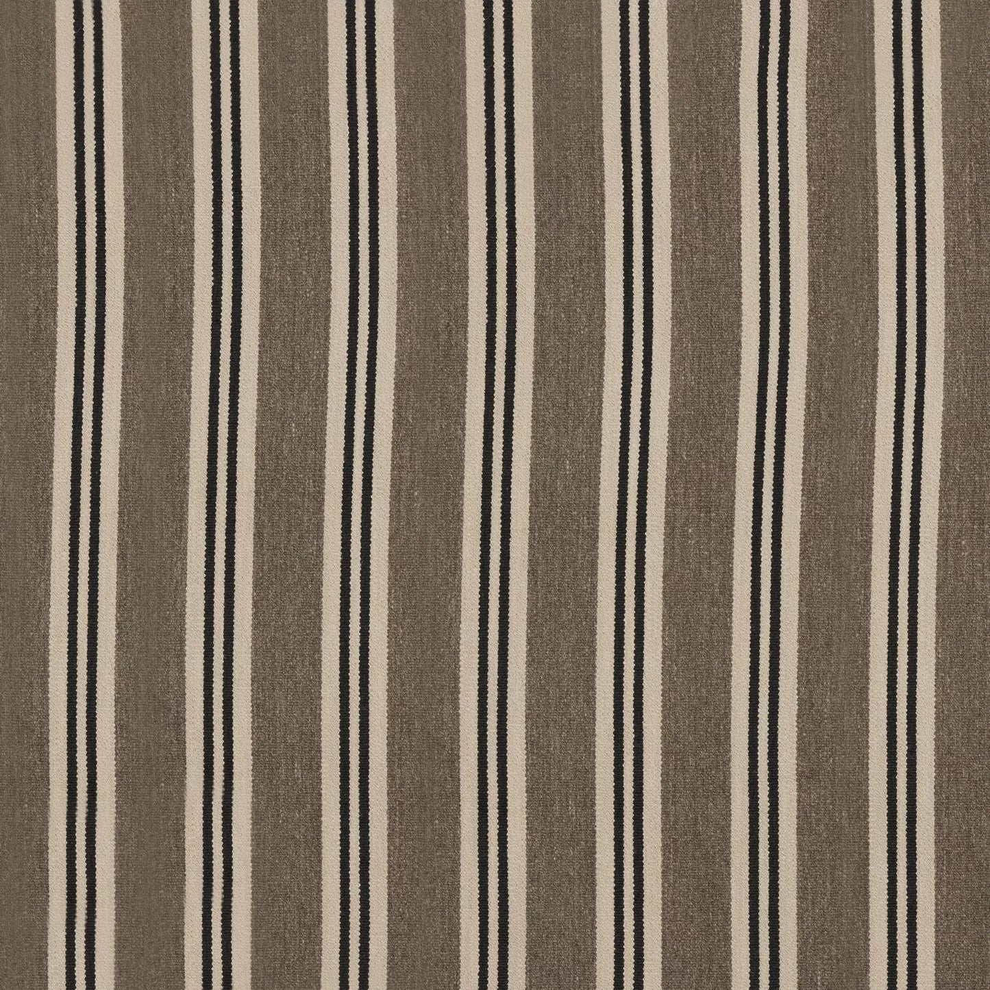 Lucia Mink by Warwick Fabrics