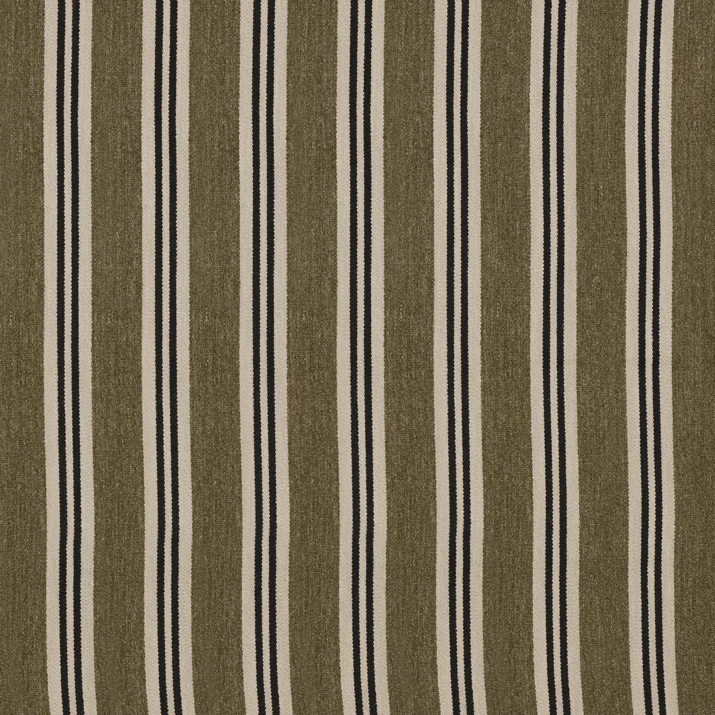 Lucia Olive by Warwick Fabrics