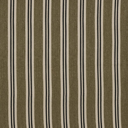 Lucia Olive by Warwick Fabrics