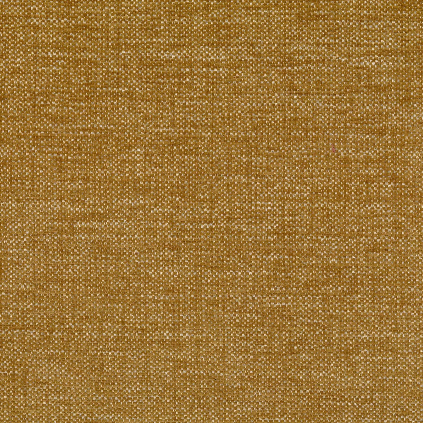 Marais Brass by Warwick Fabrics