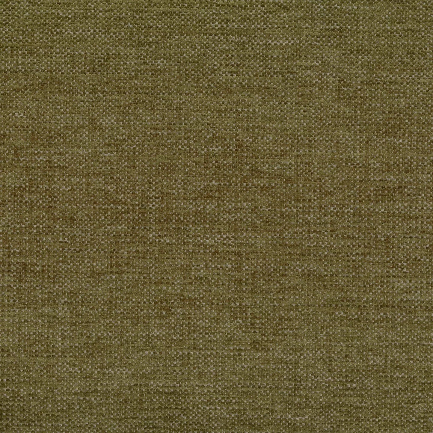 Marais Olive by Warwick Fabrics