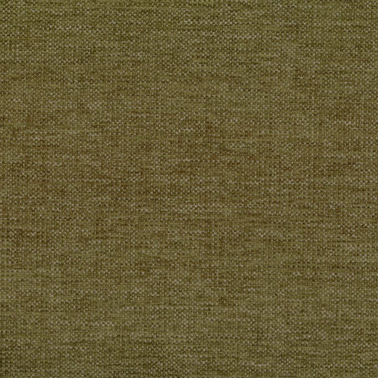 Marais Olive by Warwick Fabrics