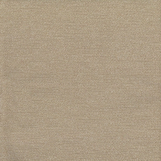 Maldives Oyster By Warwick Fabrics