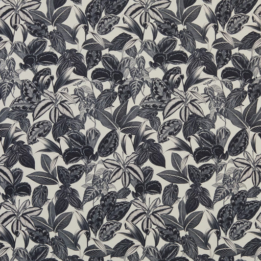 Mackenzie Charcoal by Warwick Fabrics