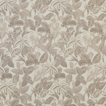 Mackenzie Charcoal by Warwick Fabrics