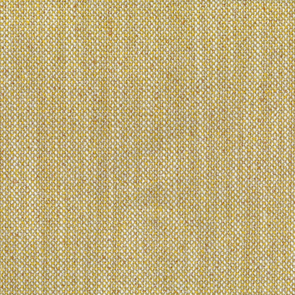 Narla Daffodil by Warwick Fabrics