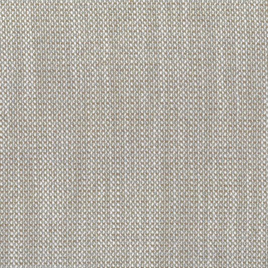 Narla Fossil by Warwick Fabrics