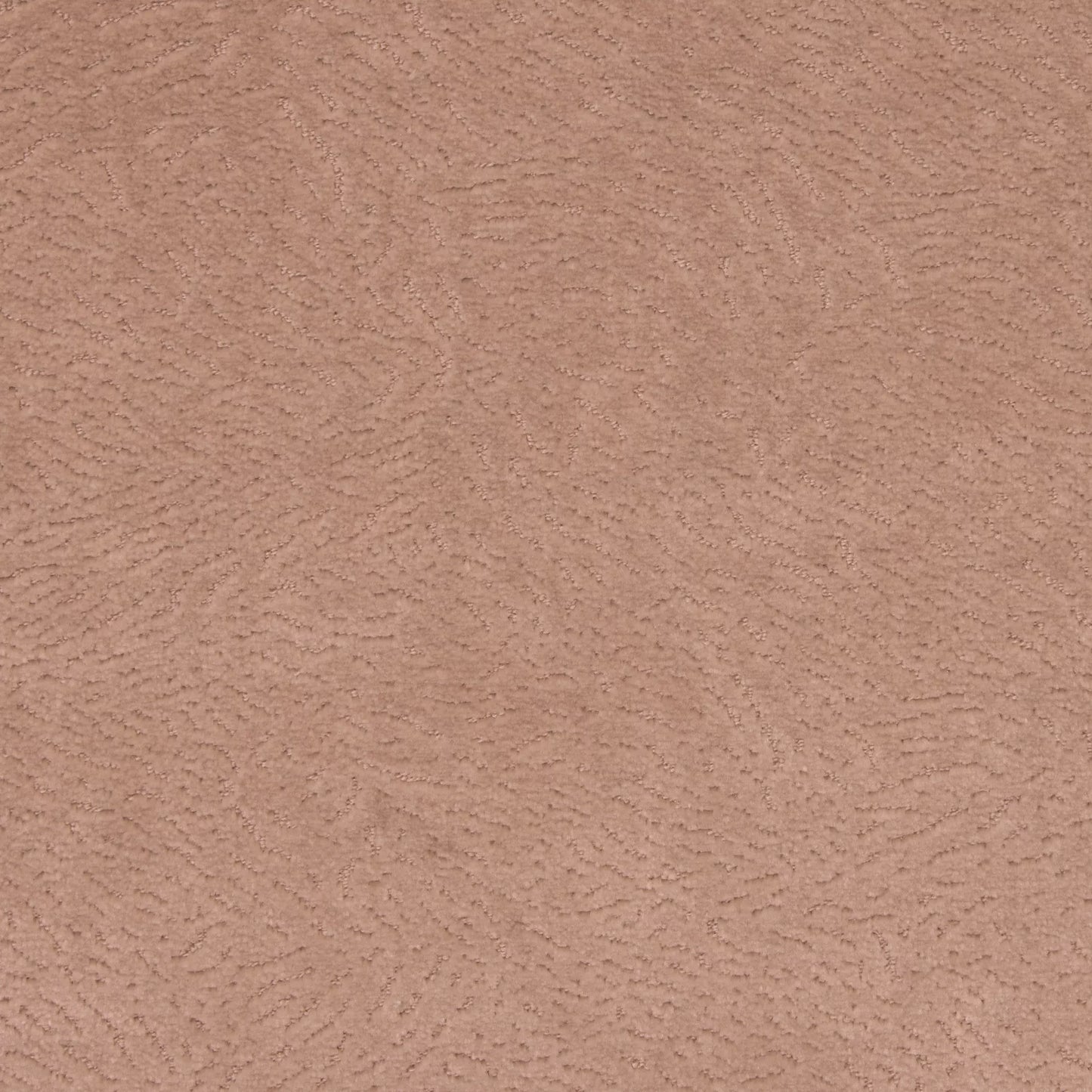 Newman Ballet by Warwick Fabrics