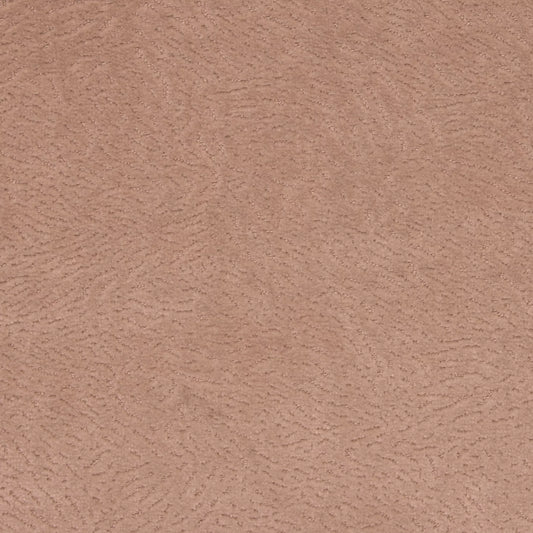 Newman Ballet by Warwick Fabrics
