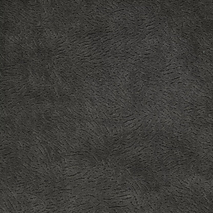 Newman Charcoal by Warwick Fabrics