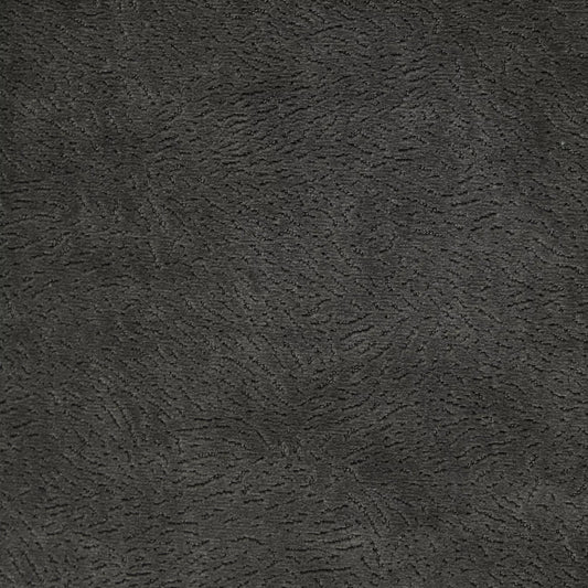 Newman Charcoal by Warwick Fabrics