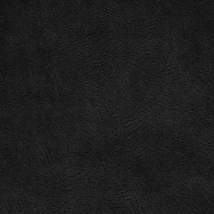 Newman Coal by Warwick Fabrics