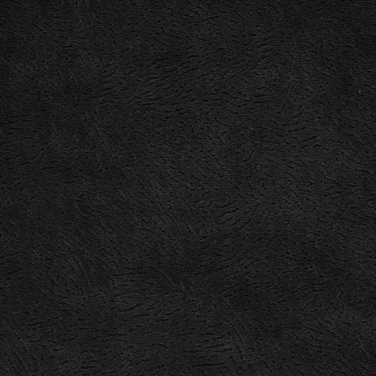 Newman Coal by Warwick Fabrics