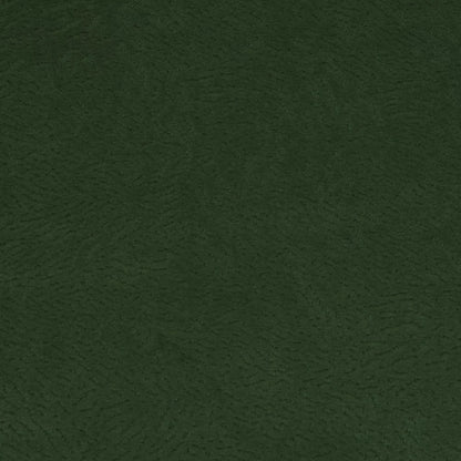 Newman Eucalyptus by Warwick Fabrics