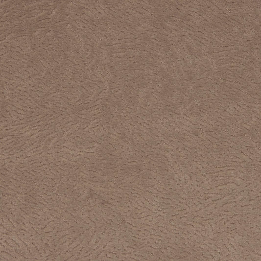 Newman Fawn by Warwick Fabrics